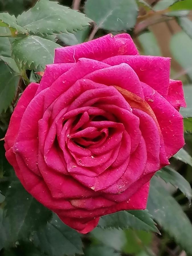 Finca El Abuelo 바르바테 외부 사진