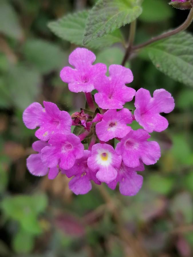 Finca El Abuelo 바르바테 외부 사진